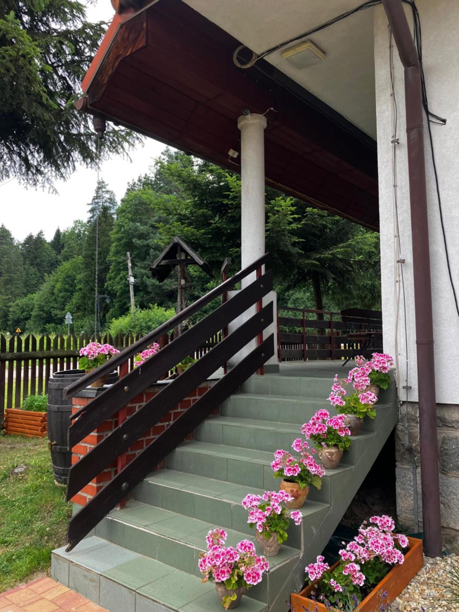 فندق Base Camp Pieniny Niedzica المظهر الخارجي الصورة